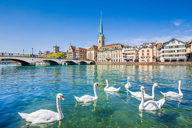 Swiss Paris at a Glance - 2026