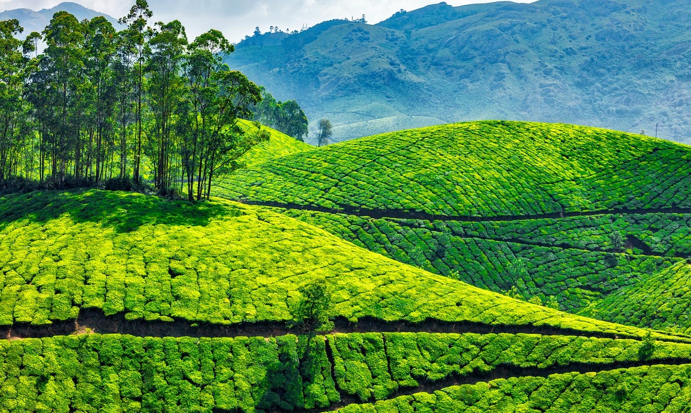 Magical Kerala